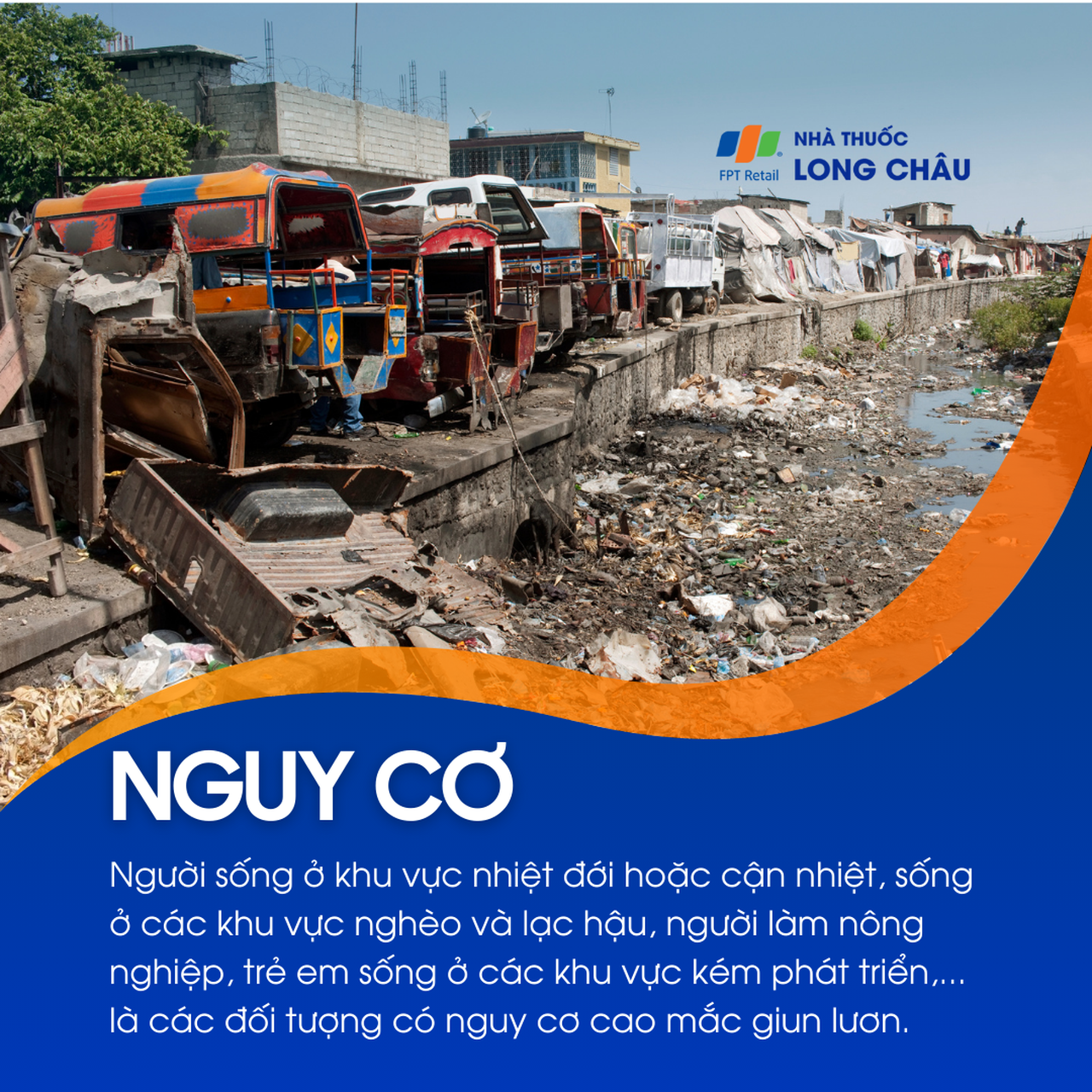 Nhiễm giun lươn 5