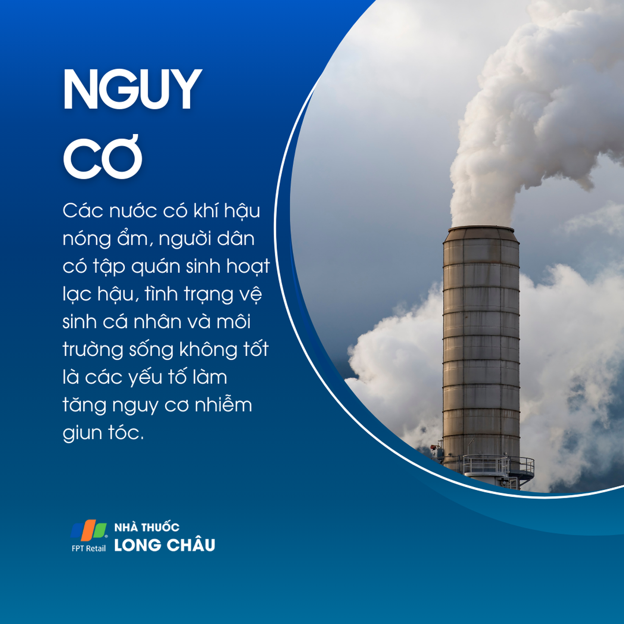 Nhiễm giun tóc 4