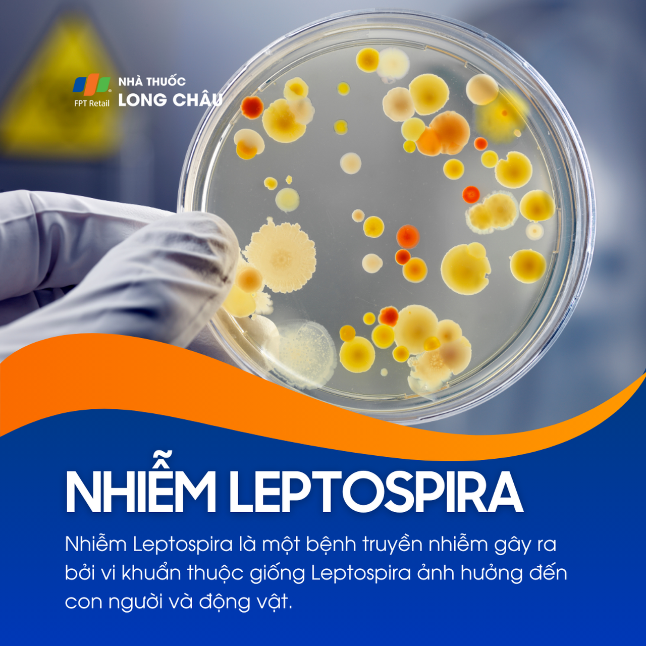 Nhiễm Leptospira 1