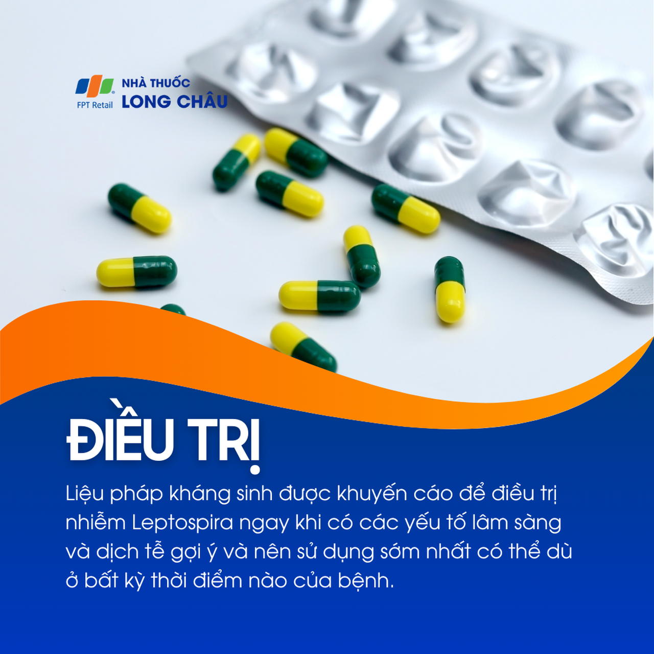 Nhiễm Leptospira 6