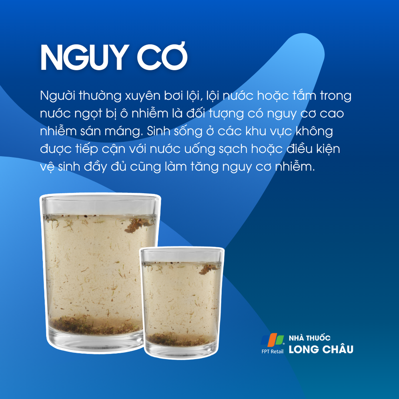 Nhiễm sán máng 4