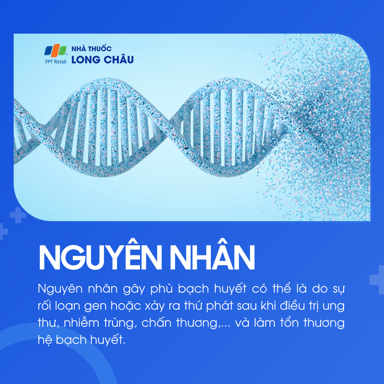 Phù bạch huyết 3