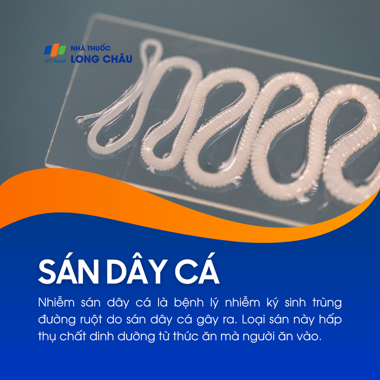 Nhiễm sán dây cá 1