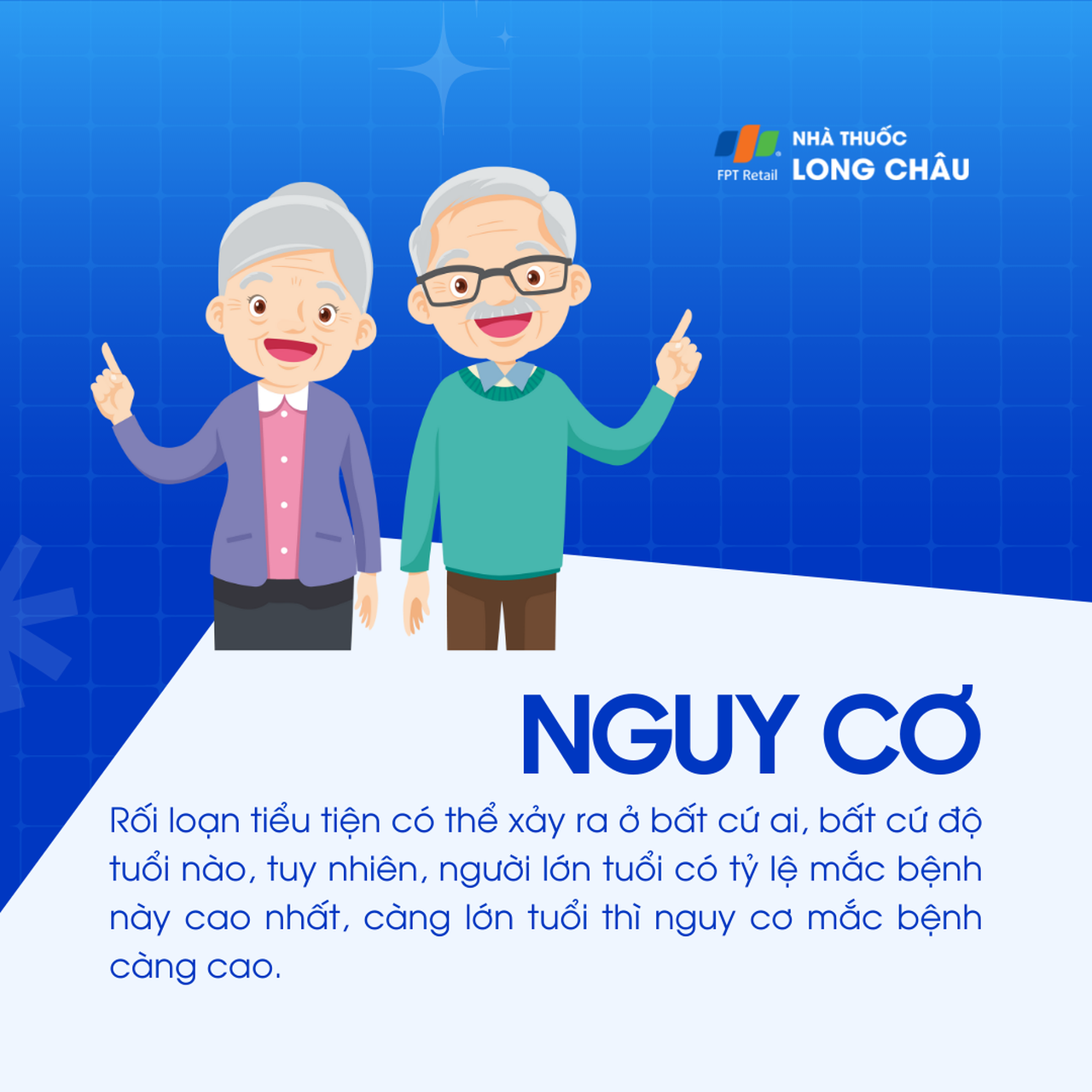 Sỏi niệu 4