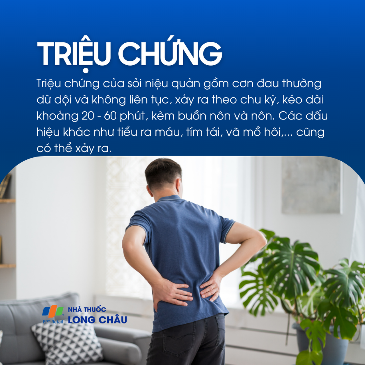 Sỏi niệu quản 2