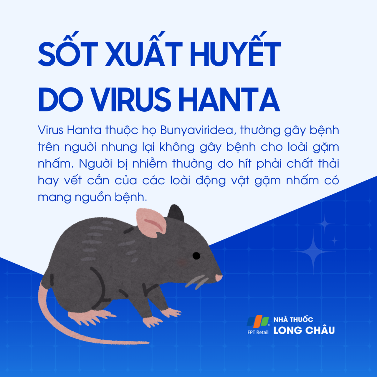 Sốt xuất huyết do virus Hanta 1