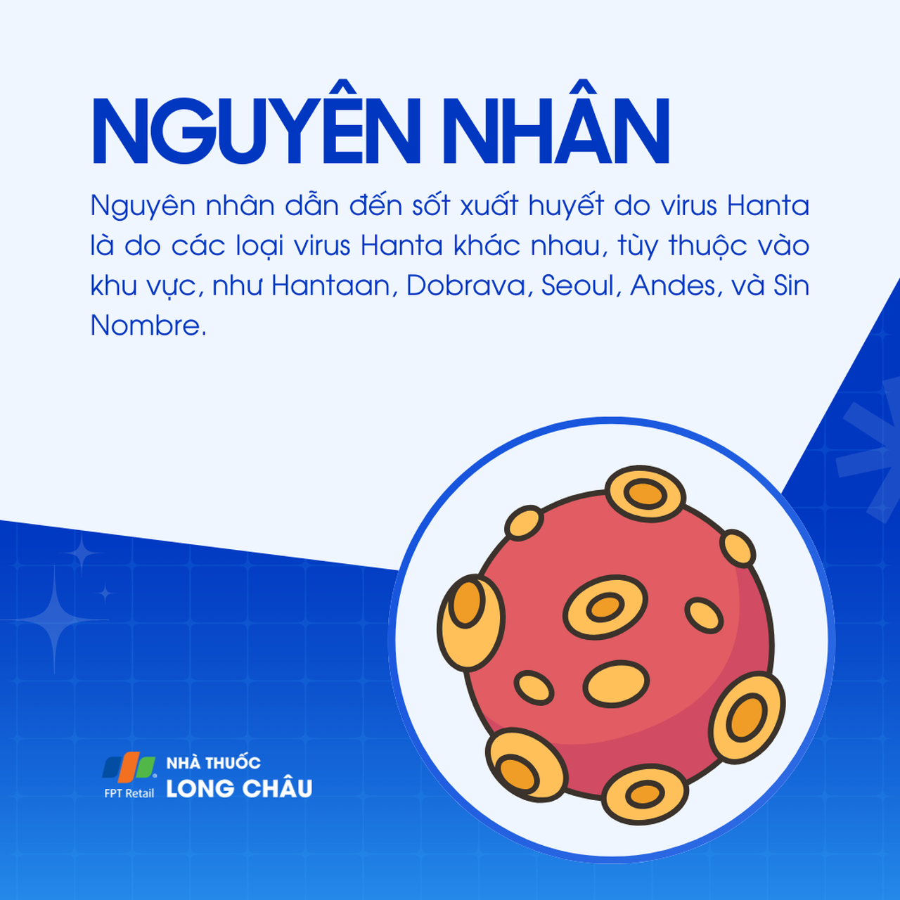 Sốt xuất huyết do virus Hanta 3