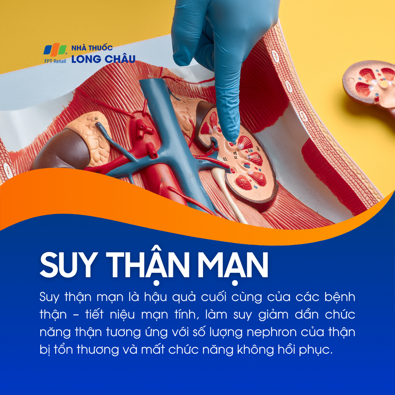 Suy thận mạn 1