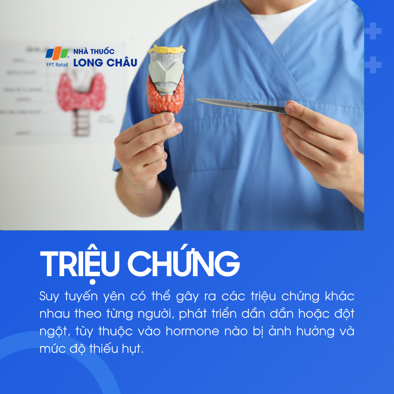 Suy tuyến yên 2