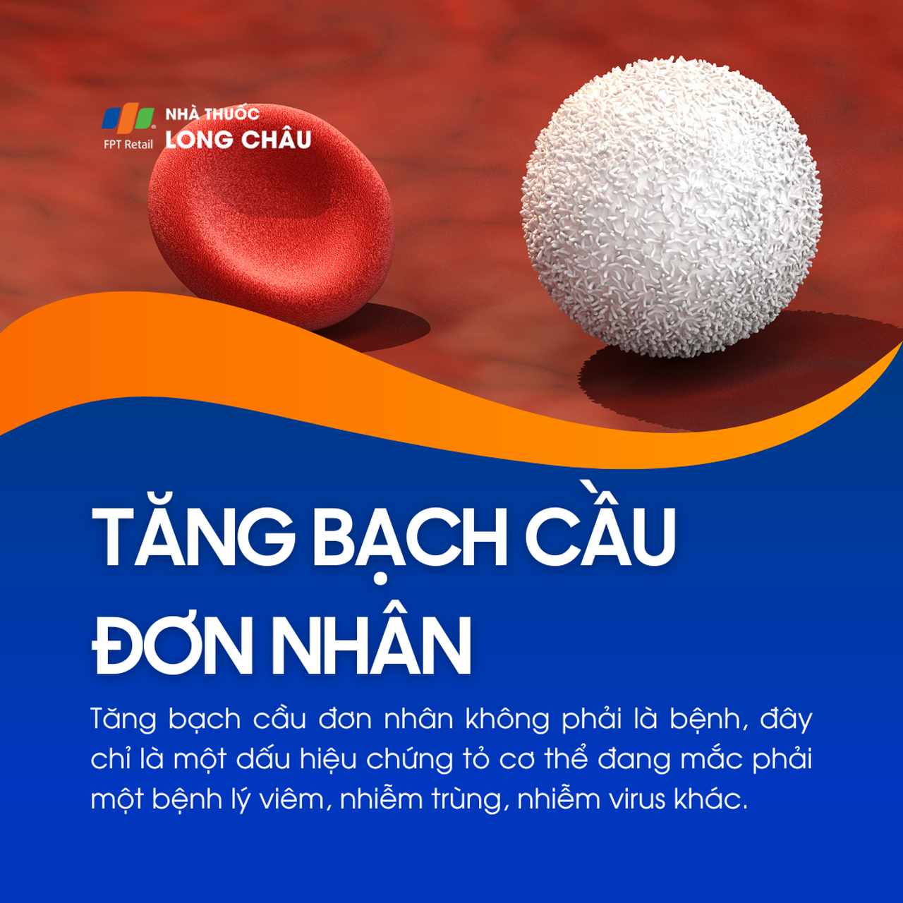 Tăng bạch cầu đơn nhân 1