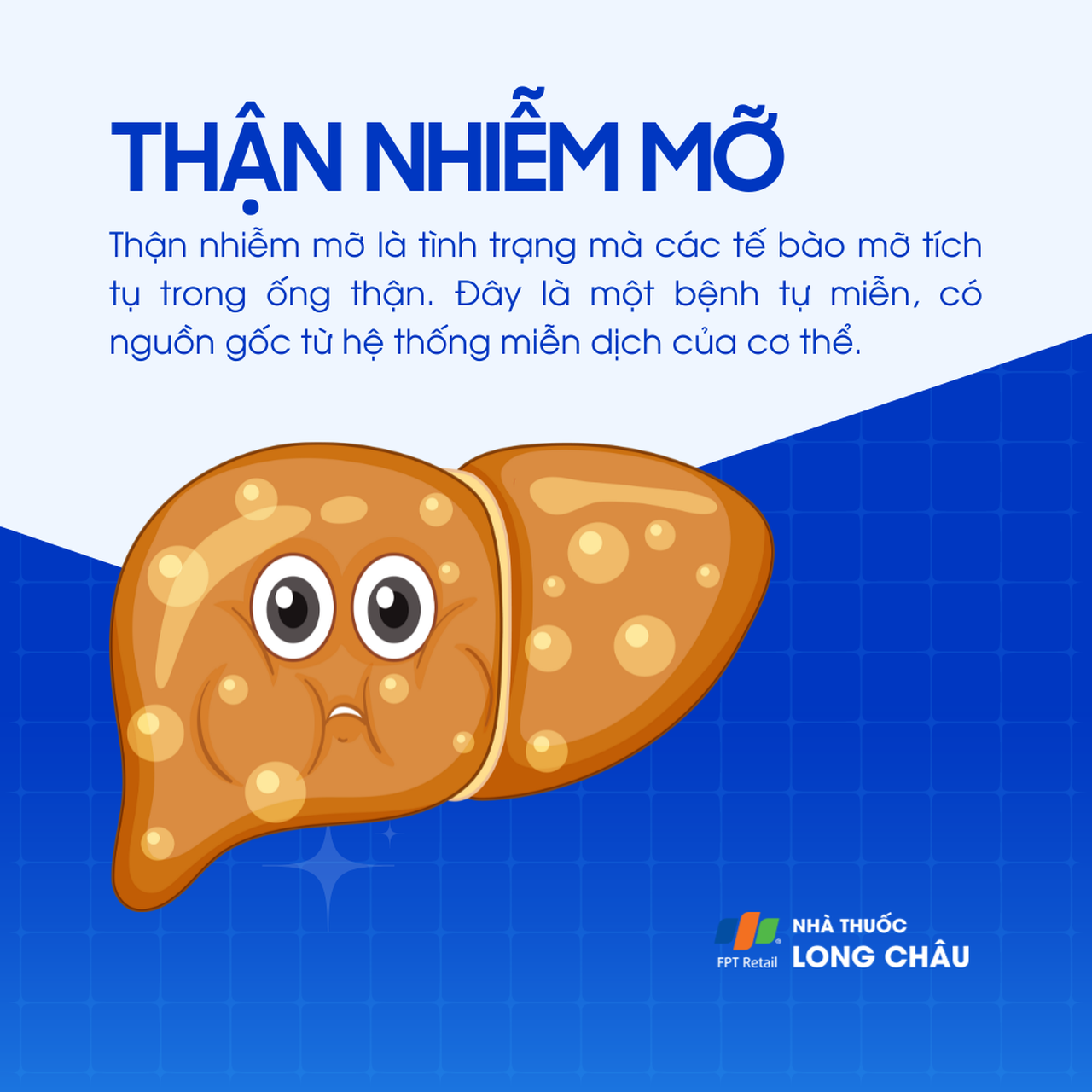 Thận nhiễm mỡ 1
