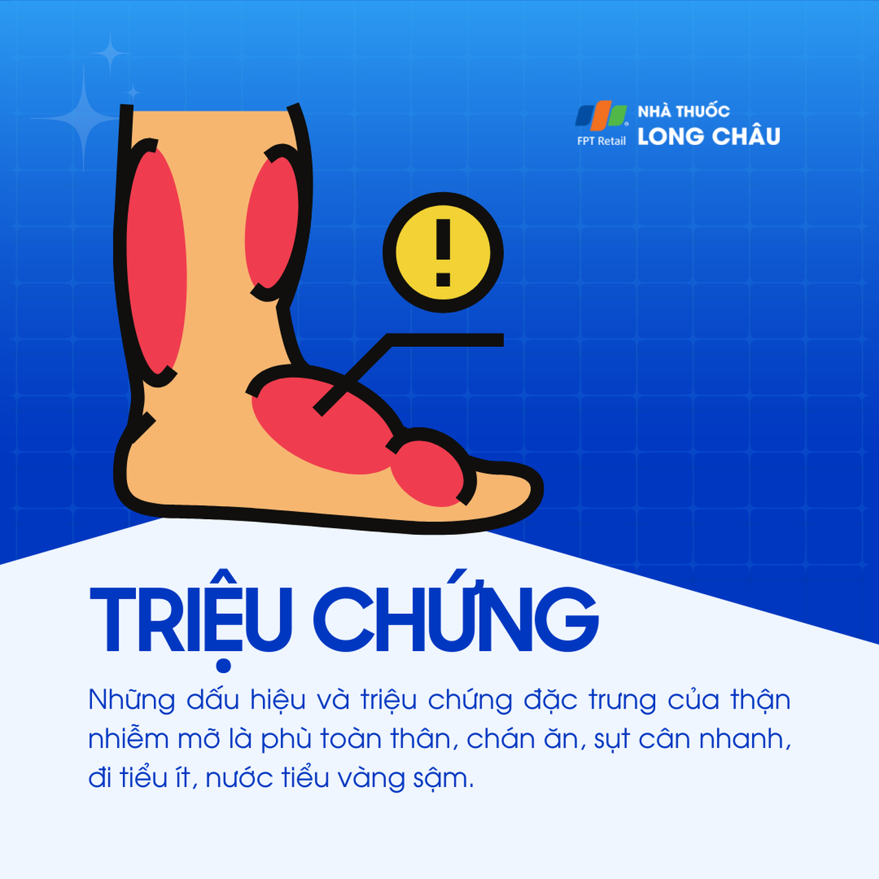 Thận nhiễm mỡ 2
