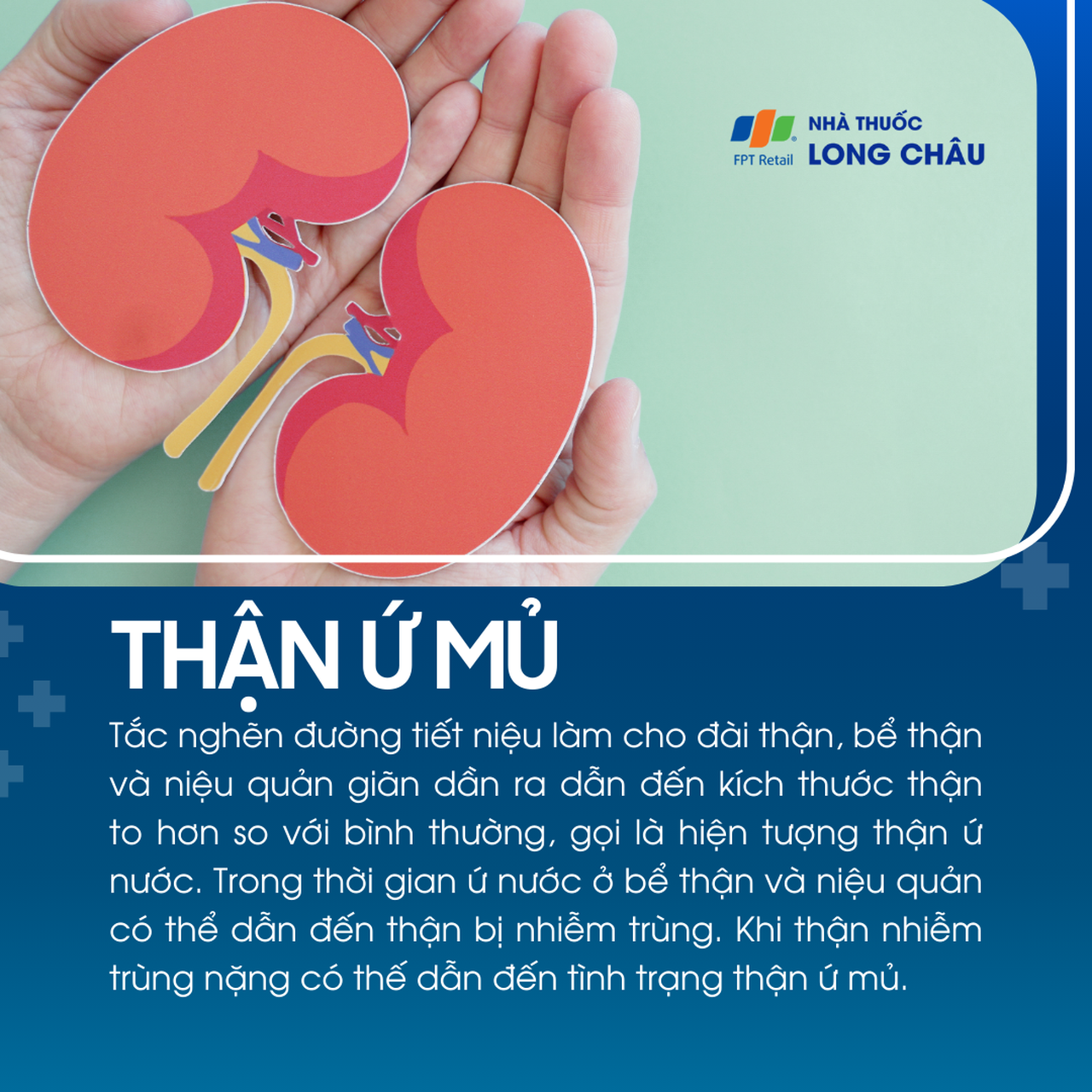Thận ứ mủ 1