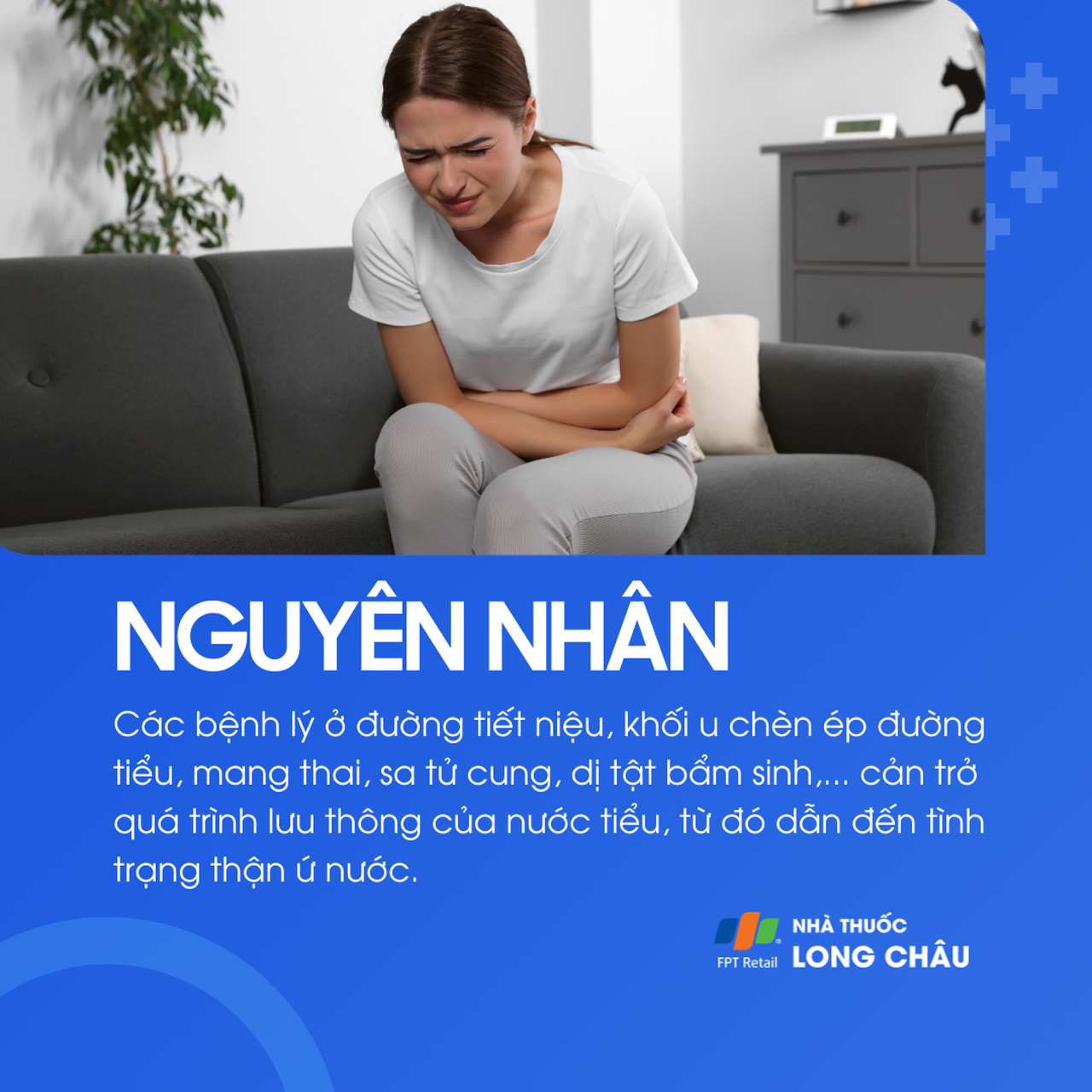Thận ứ nước 3