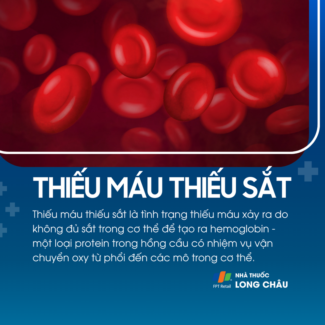 Thiếu máu thiếu sắt 1