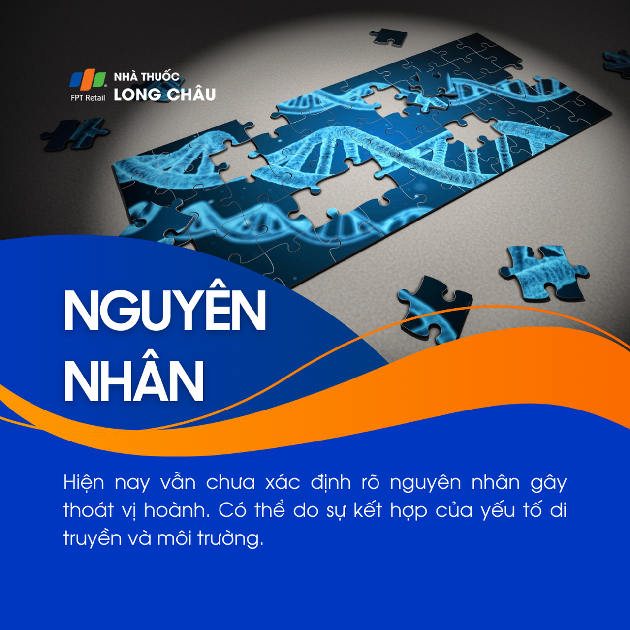 Thoát vị cơ hoành 3