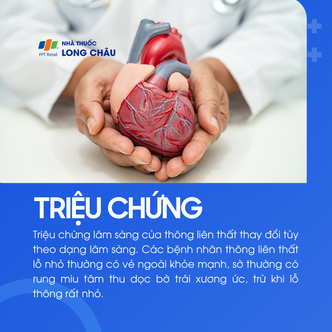 Thông liên thất 3