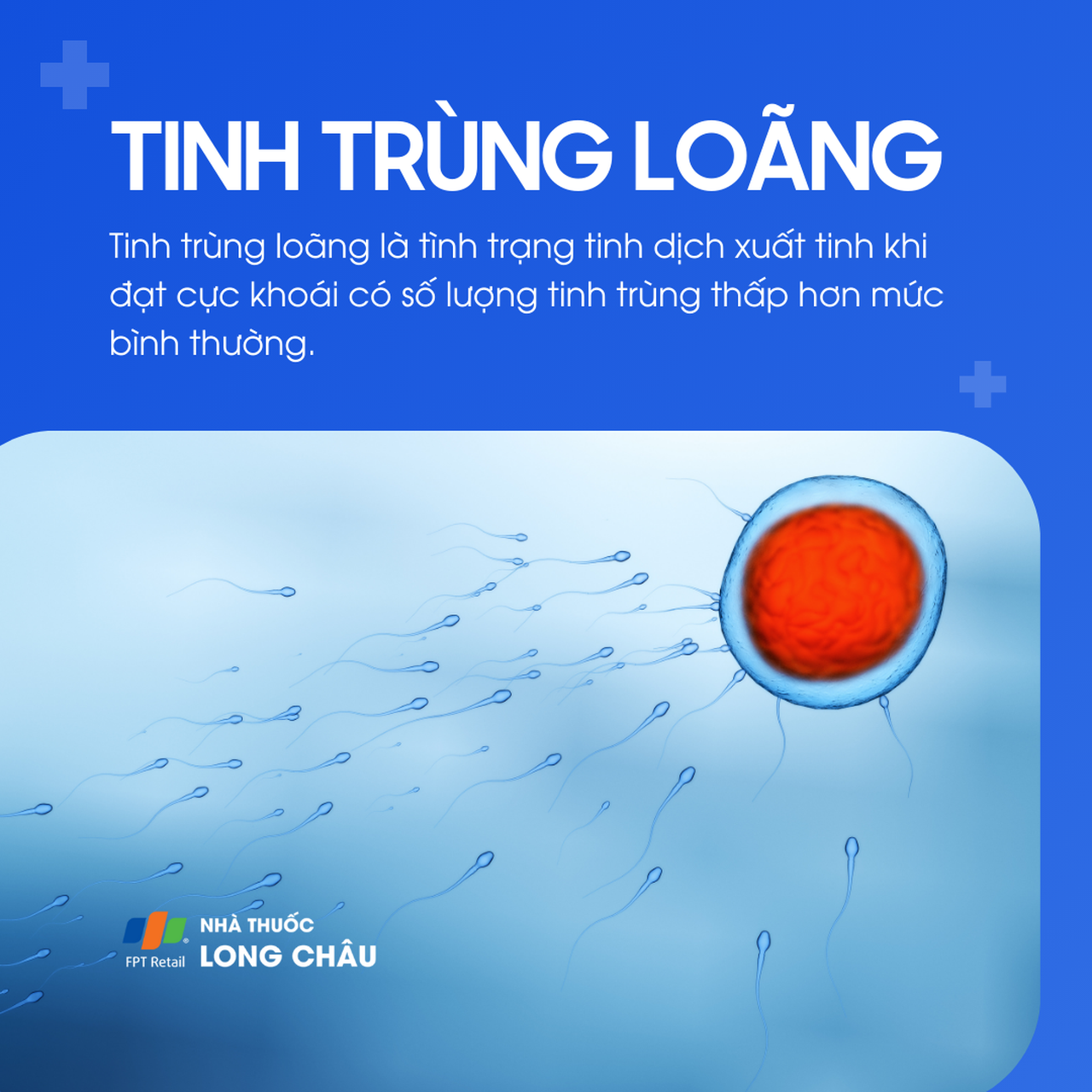 Tinh trùng loãng 1