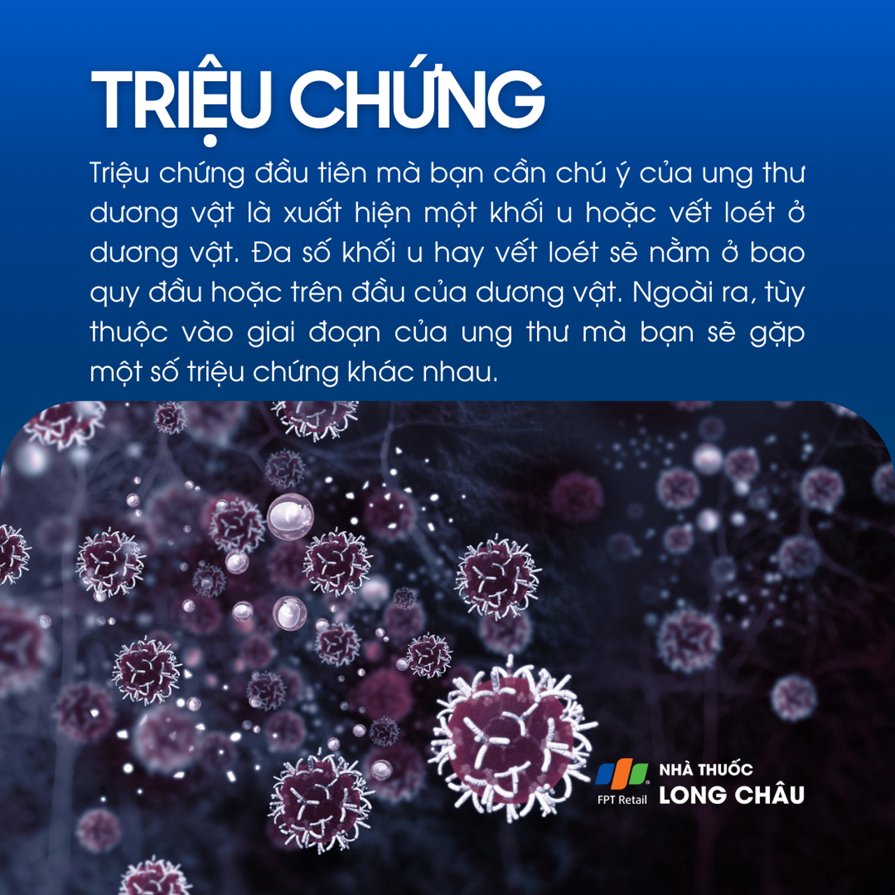 Ung thư dương vật 2
