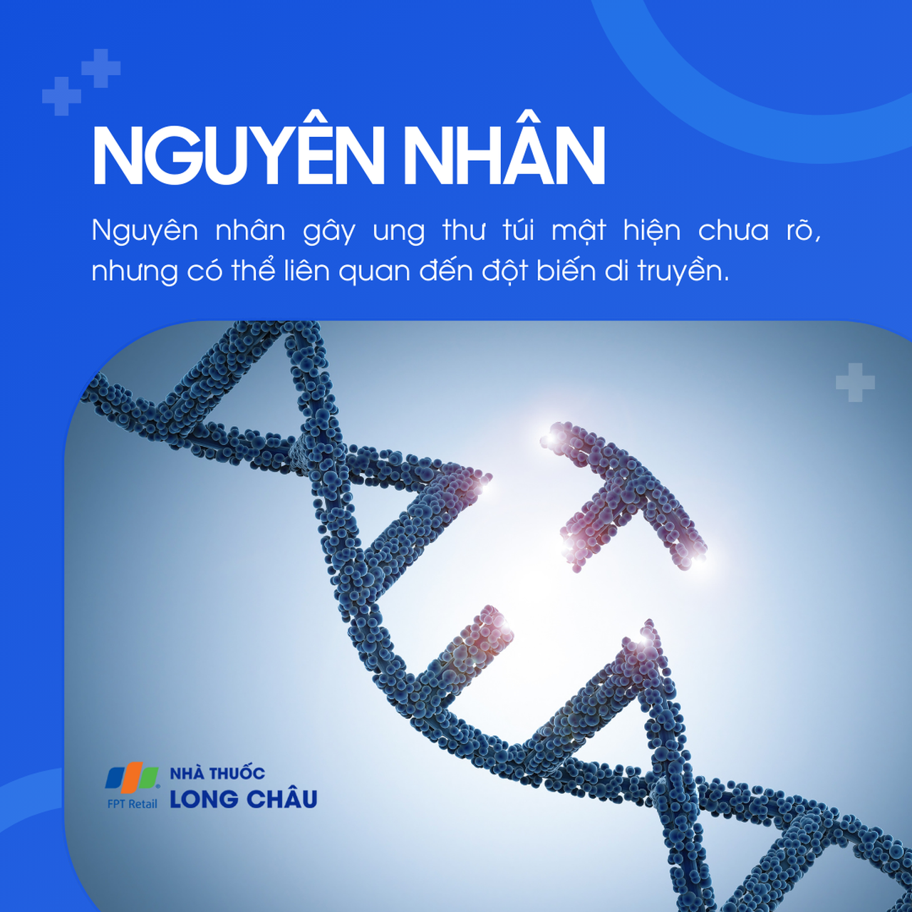 Ung thư túi mật 3