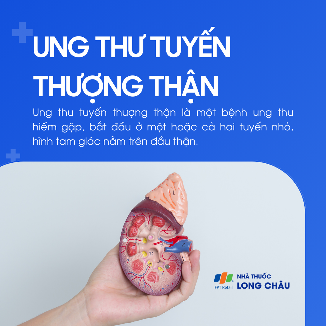 Ung thư tuyến thượng thận 1