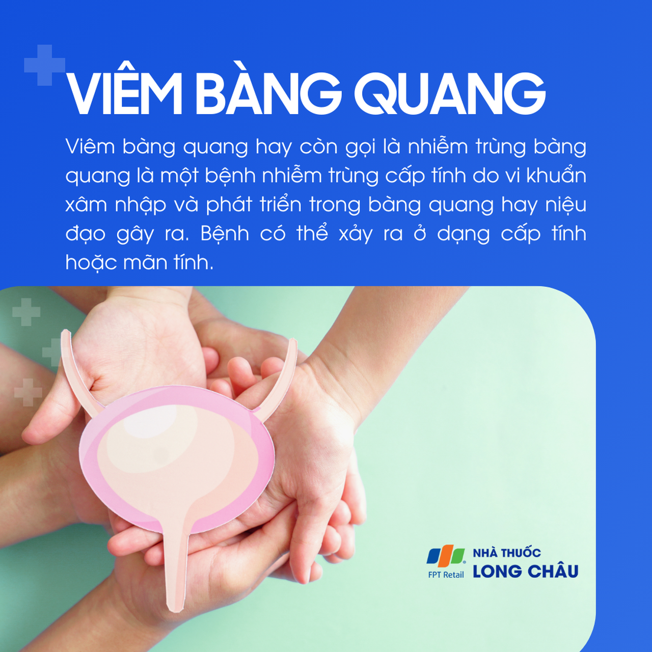 Viêm bàng quang 1