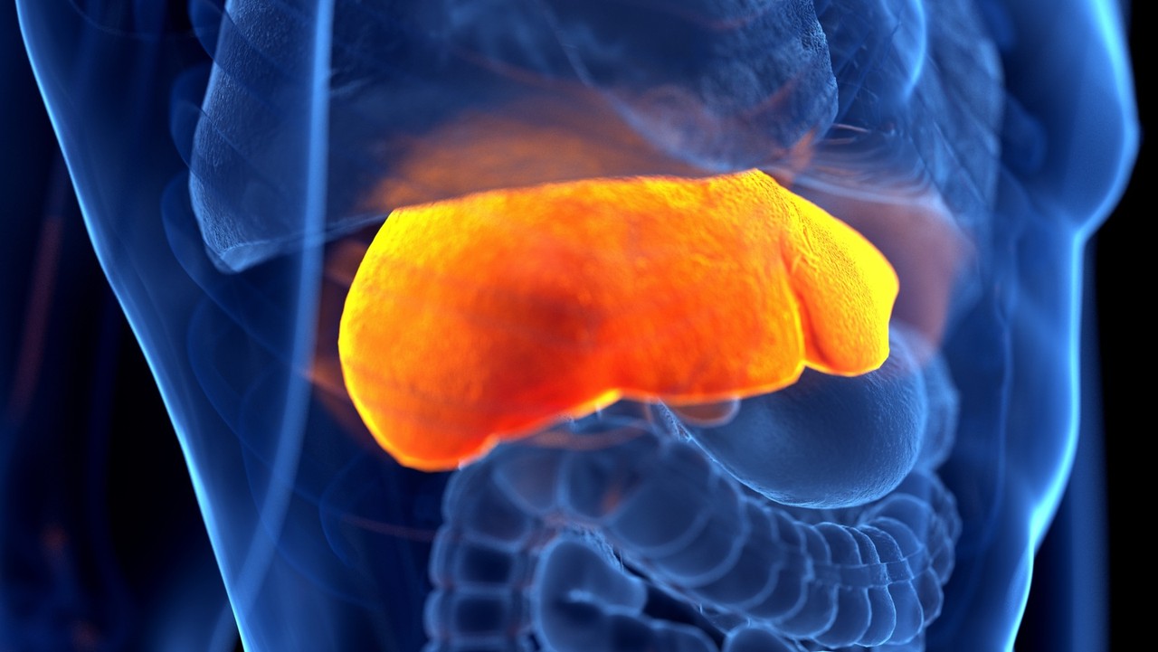 Viêm gan tự miễn: Triệu chứng, nguyên nhân và cách điều trị