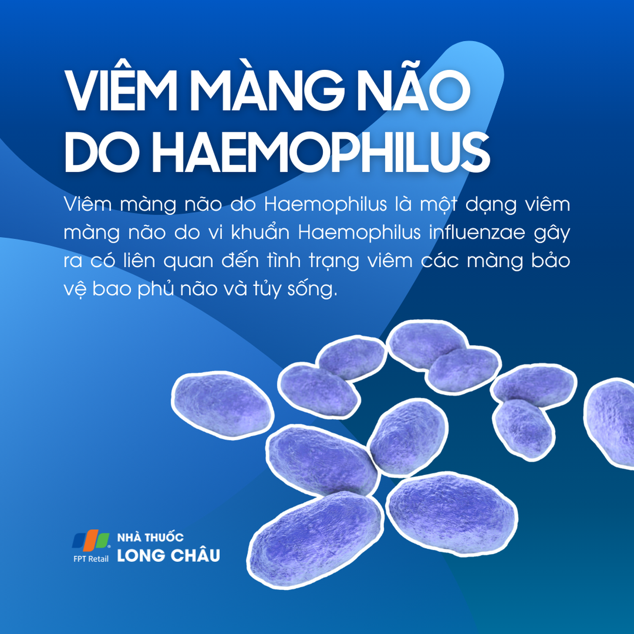 Bệnh viêm màng não do Haemophilus 1