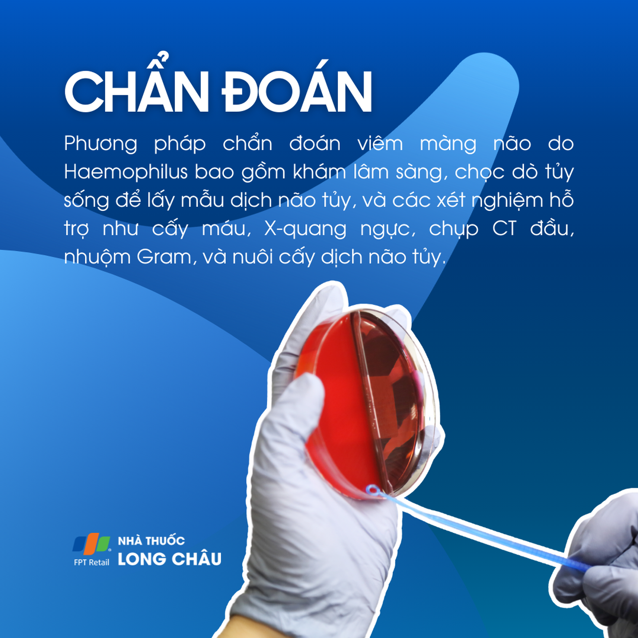 Bệnh viêm màng não do Haemophilus 5