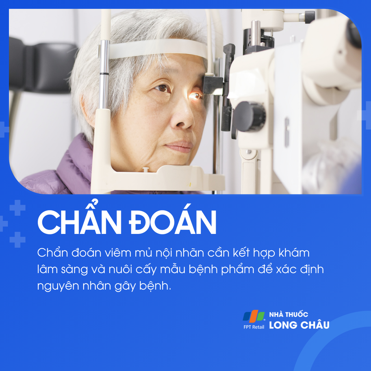 Viêm mủ nội nhãn 5