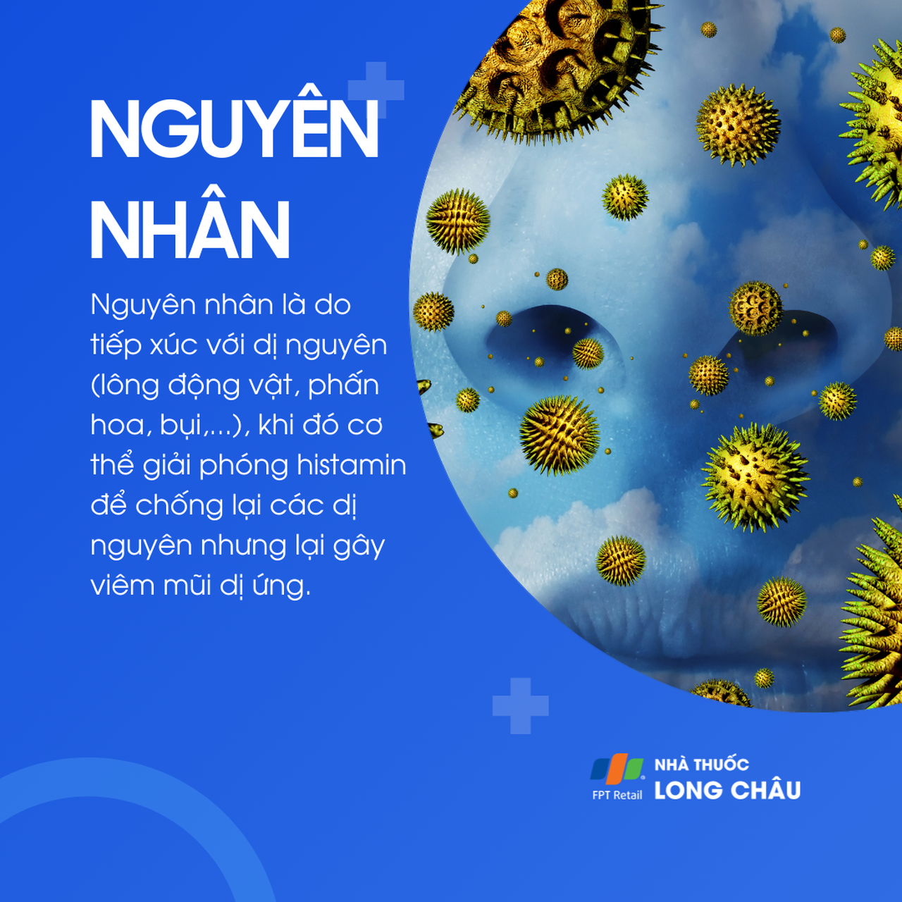 Viêm mũi dị ứng 3