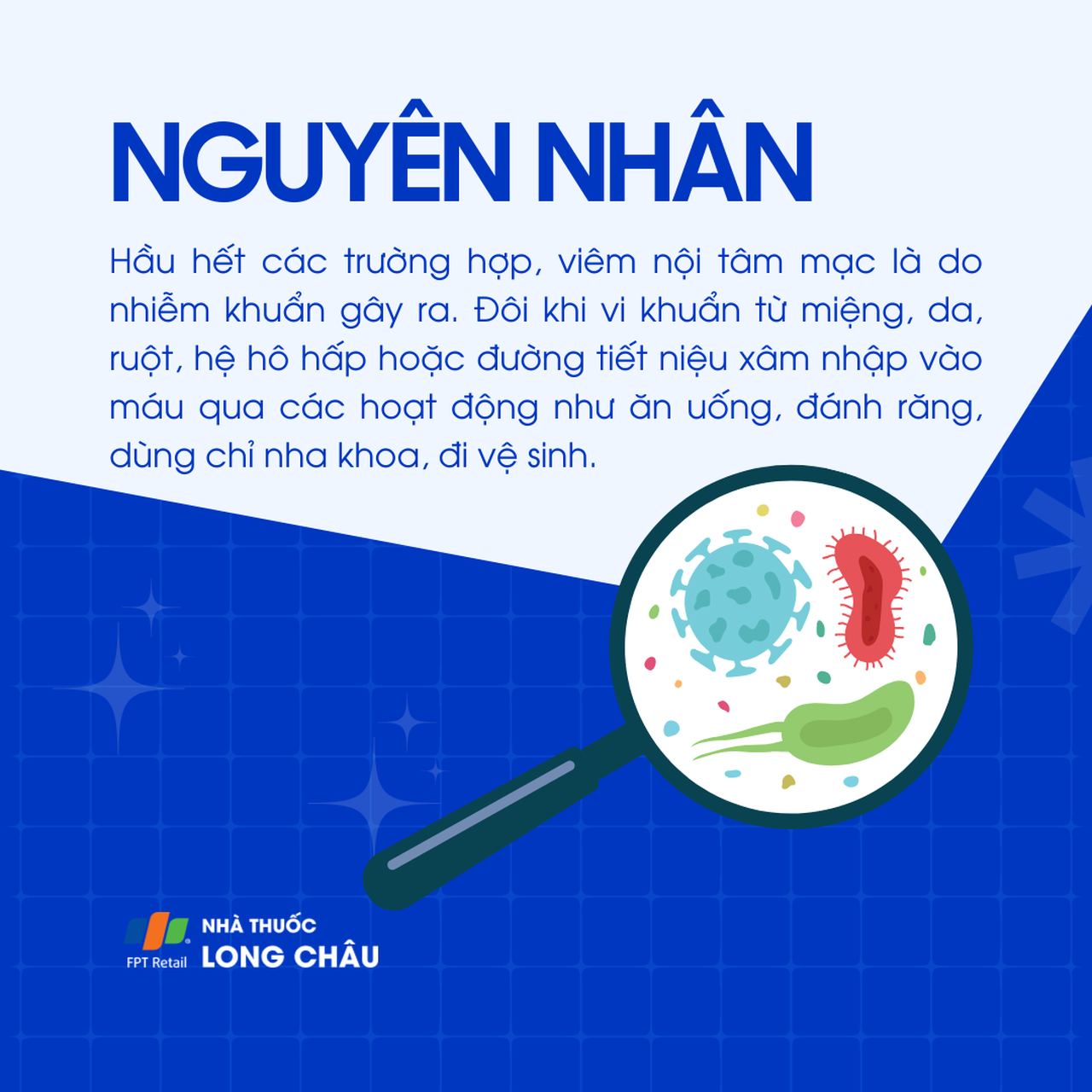 Viêm nội tâm mạc 3