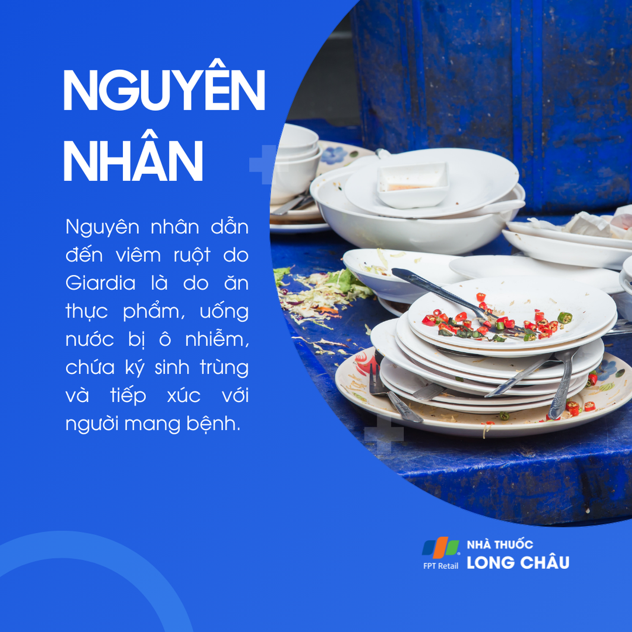 Viêm ruột do Giardia 3