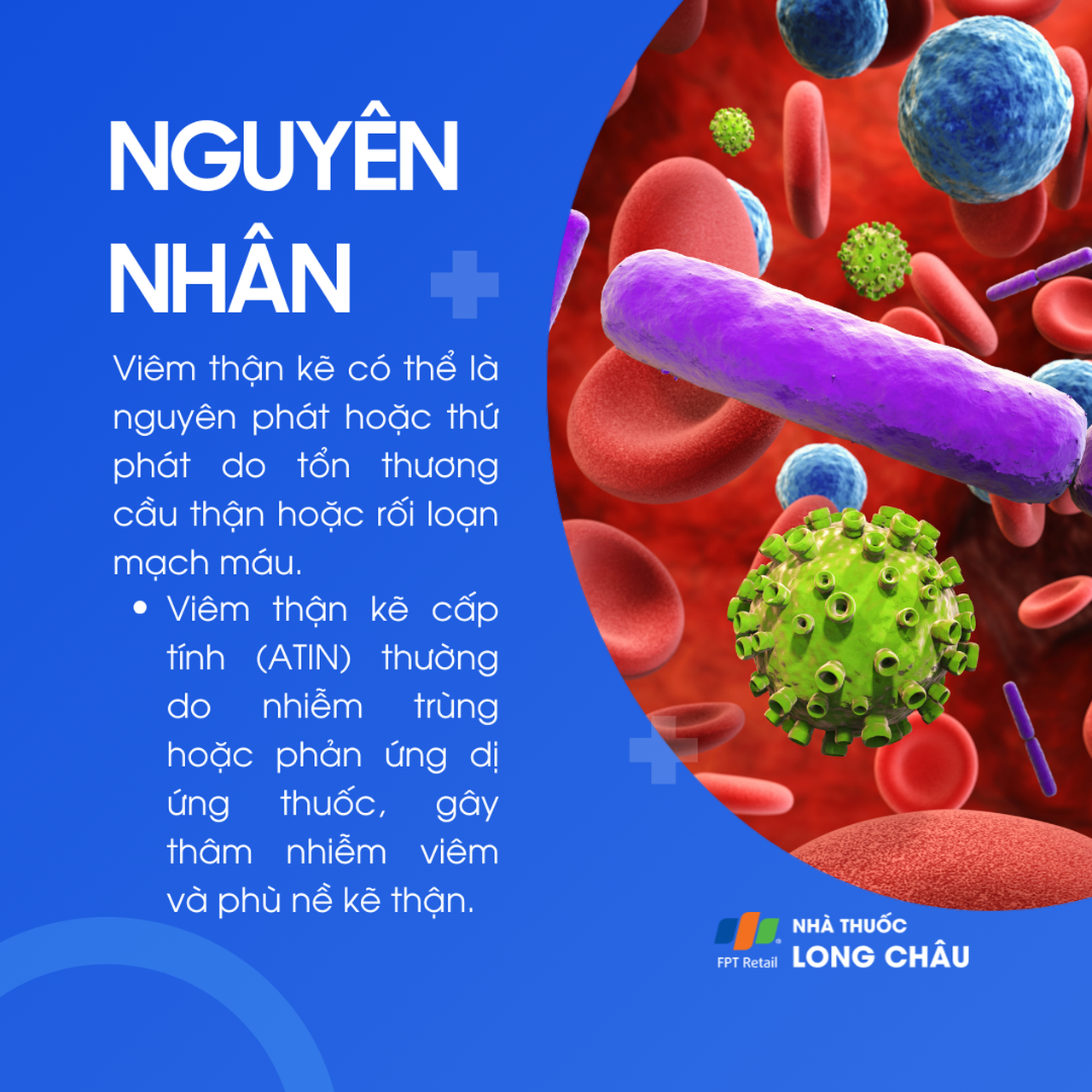Viêm thận kẽ 4