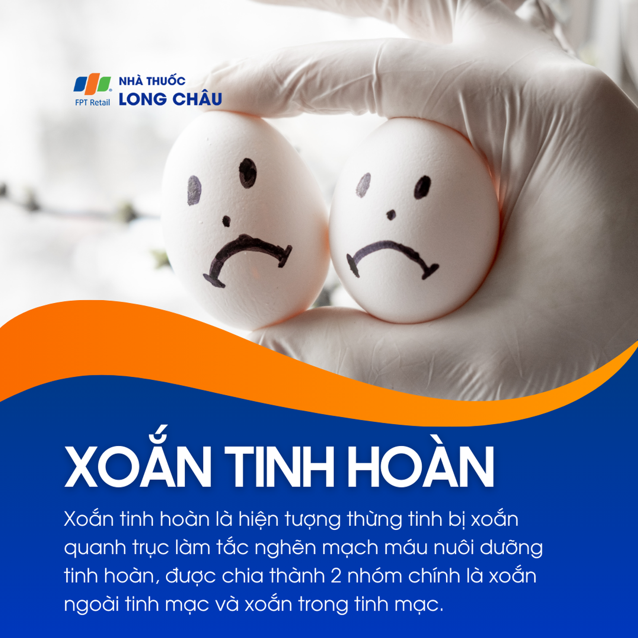 Xoắn tinh hoàn 1