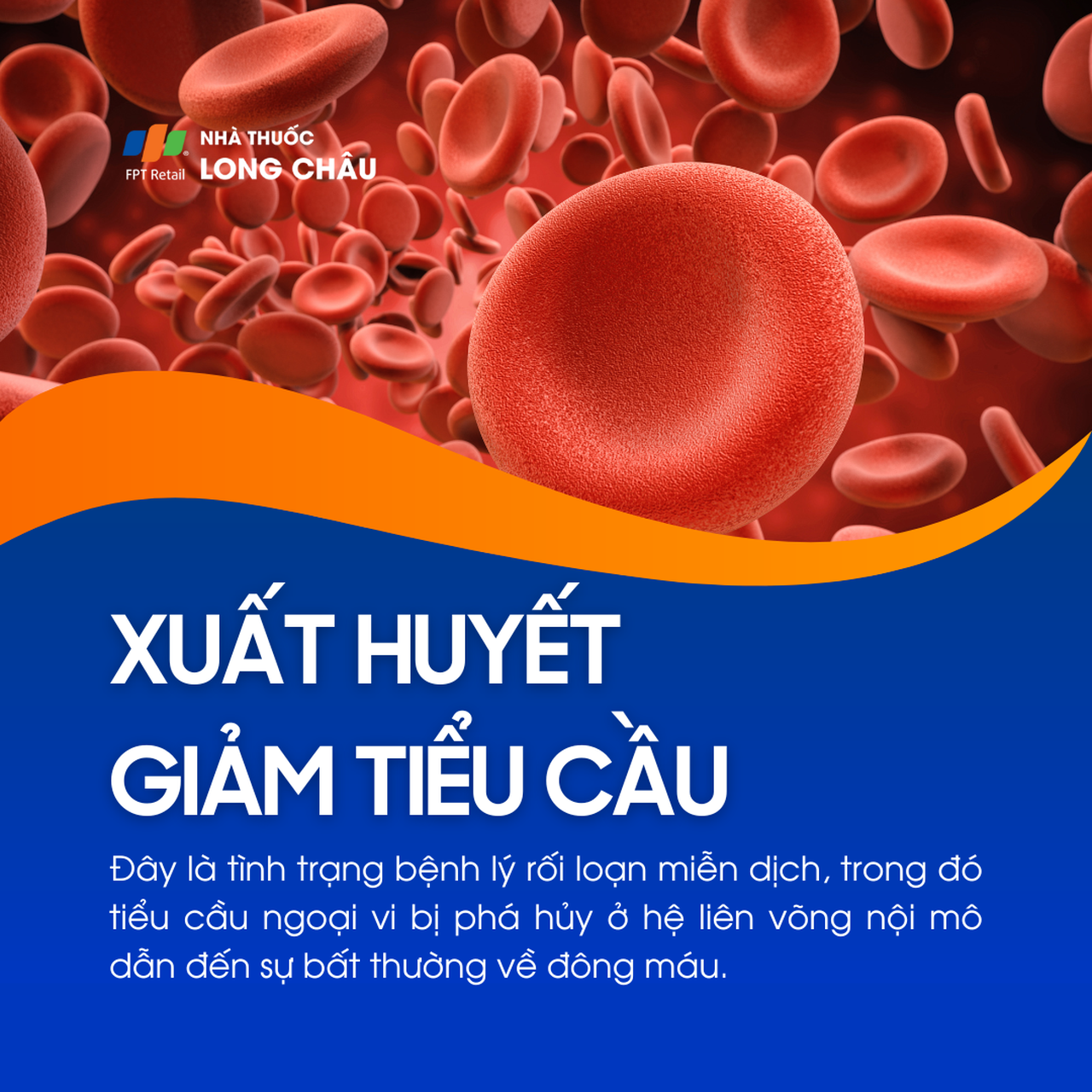 Xuất huyết giảm tiểu cầu 1