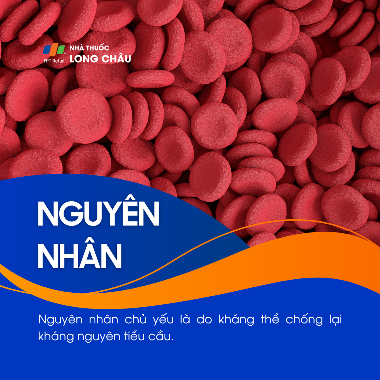 Xuất huyết giảm tiểu cầu 1