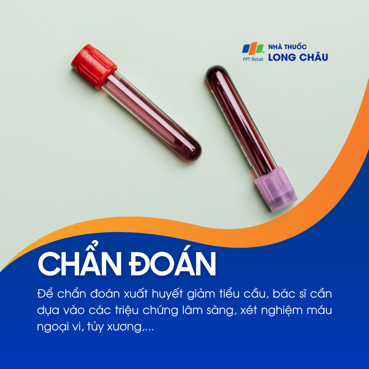 Xuất huyết giảm tiểu cầu 3