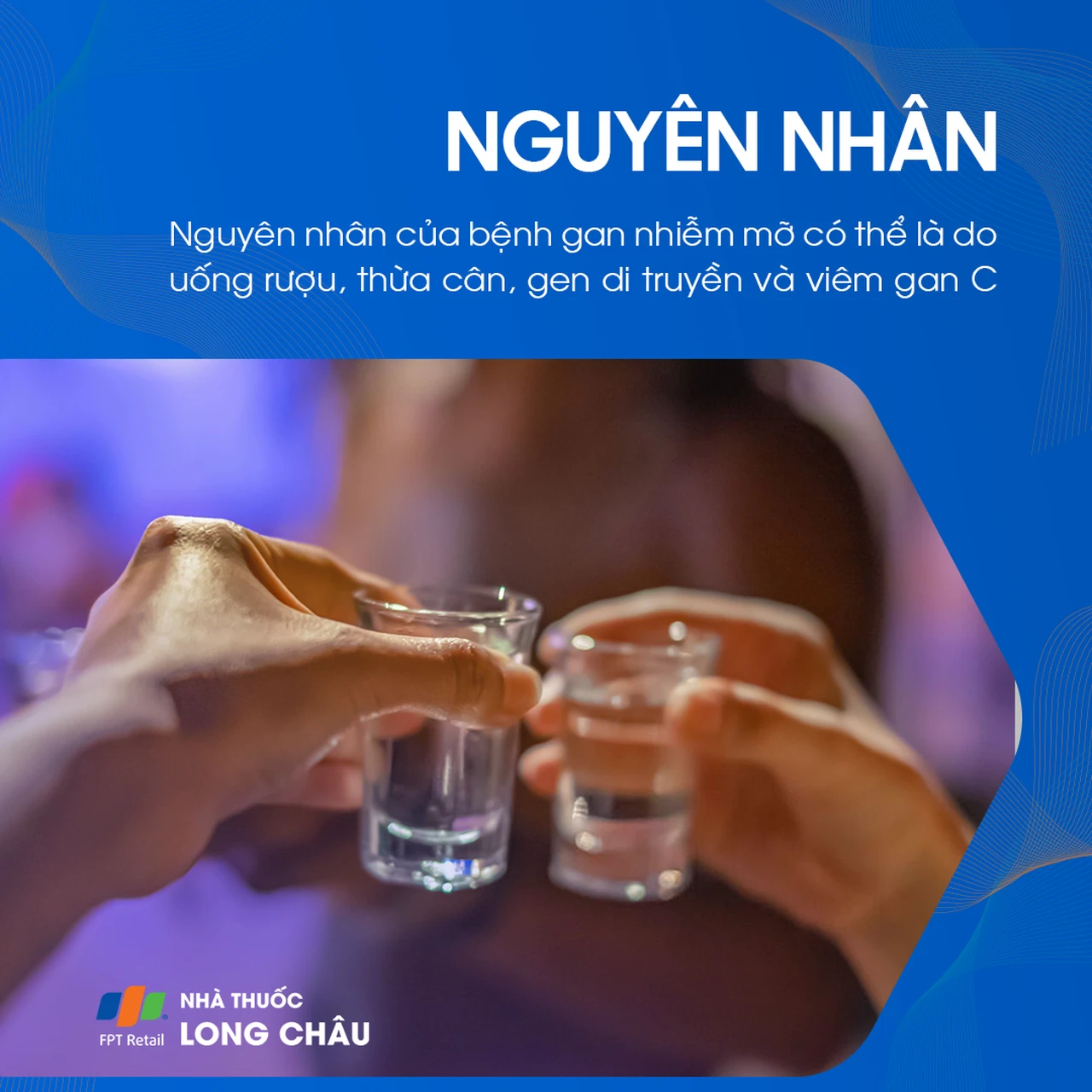 Nguyên nhân gan nhiễm mỡ - Các yếu tố gây tích tụ mỡ trong gan