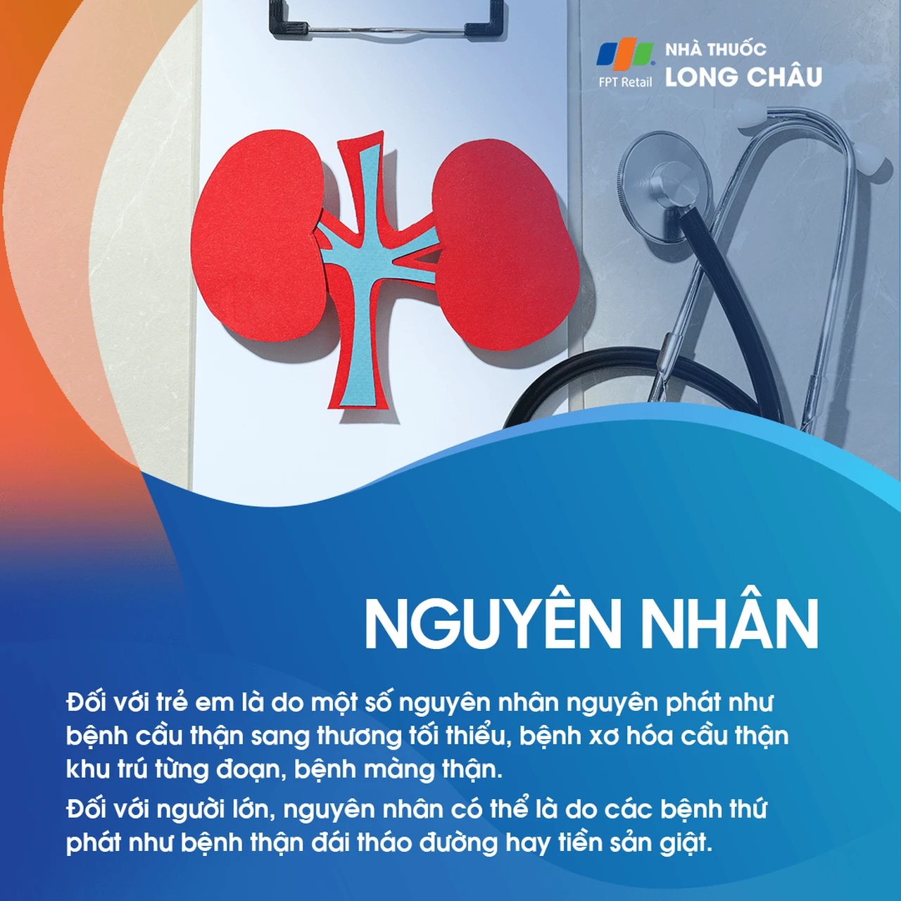 Nguyên nhân hội chứng thận hư - Các yếu tố gây tổn thương thận