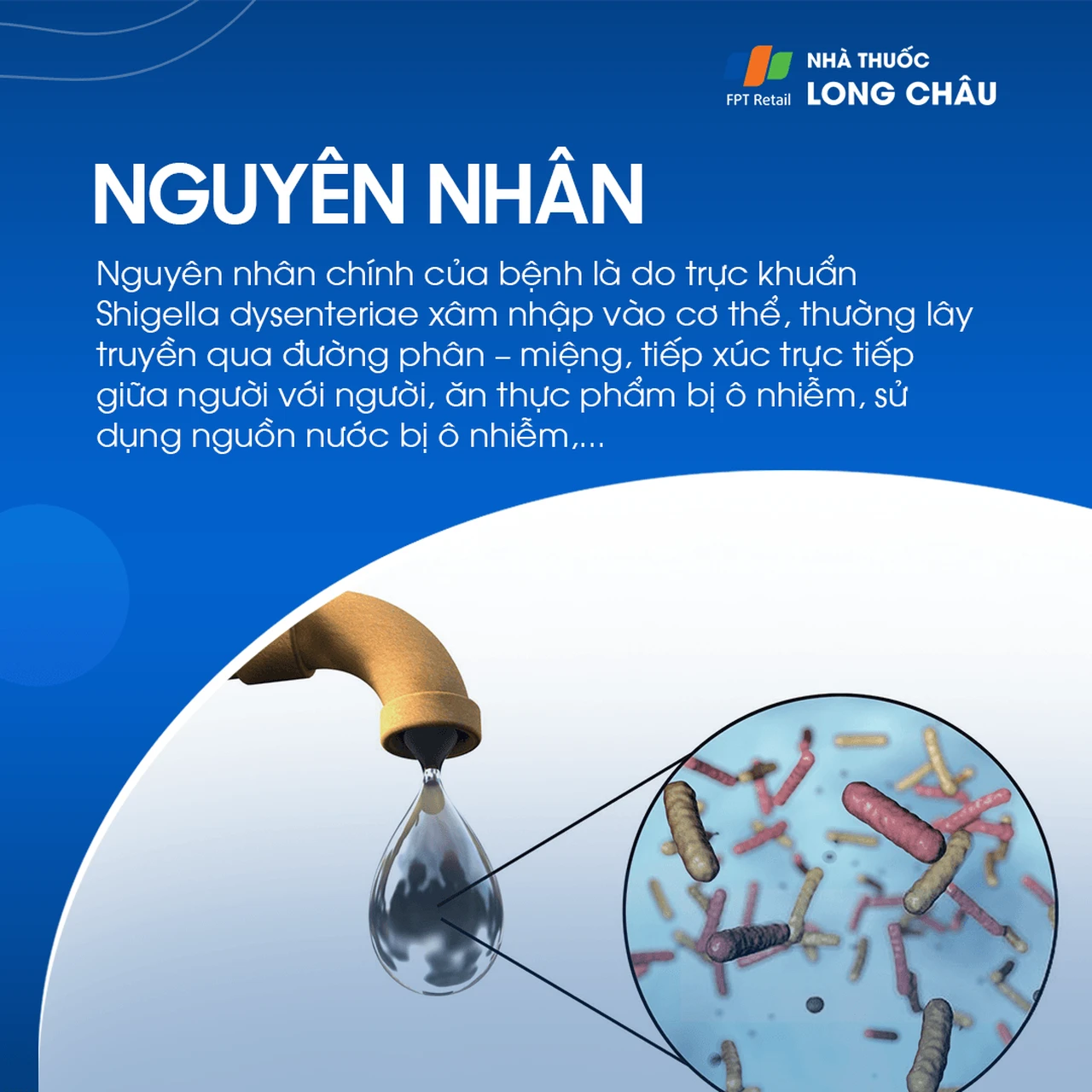 Lỵ trực trùng 3