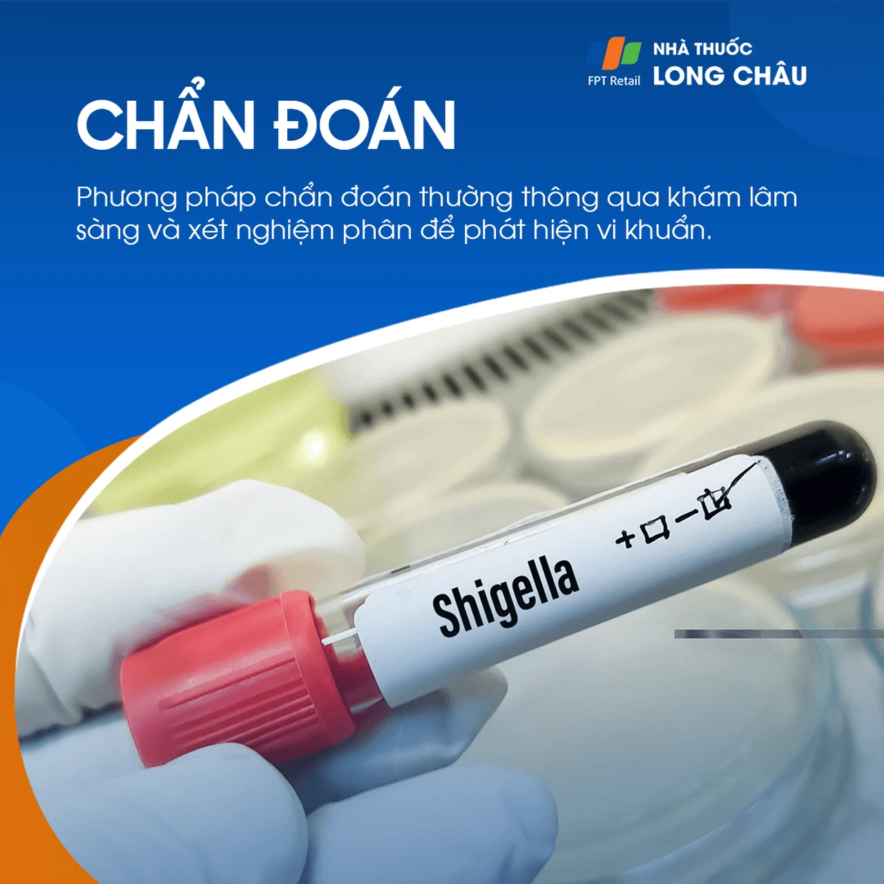 Lỵ trực trùng 5