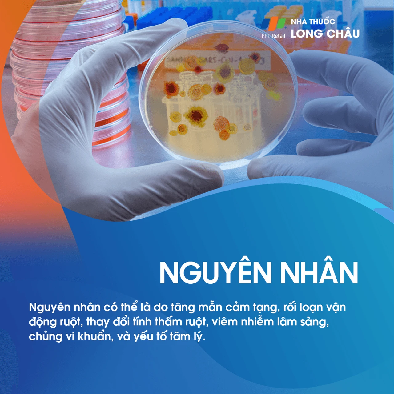 Hội chứng ruột kích thích 3