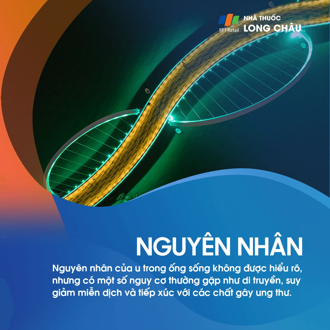 U Trong Ống Sống 3