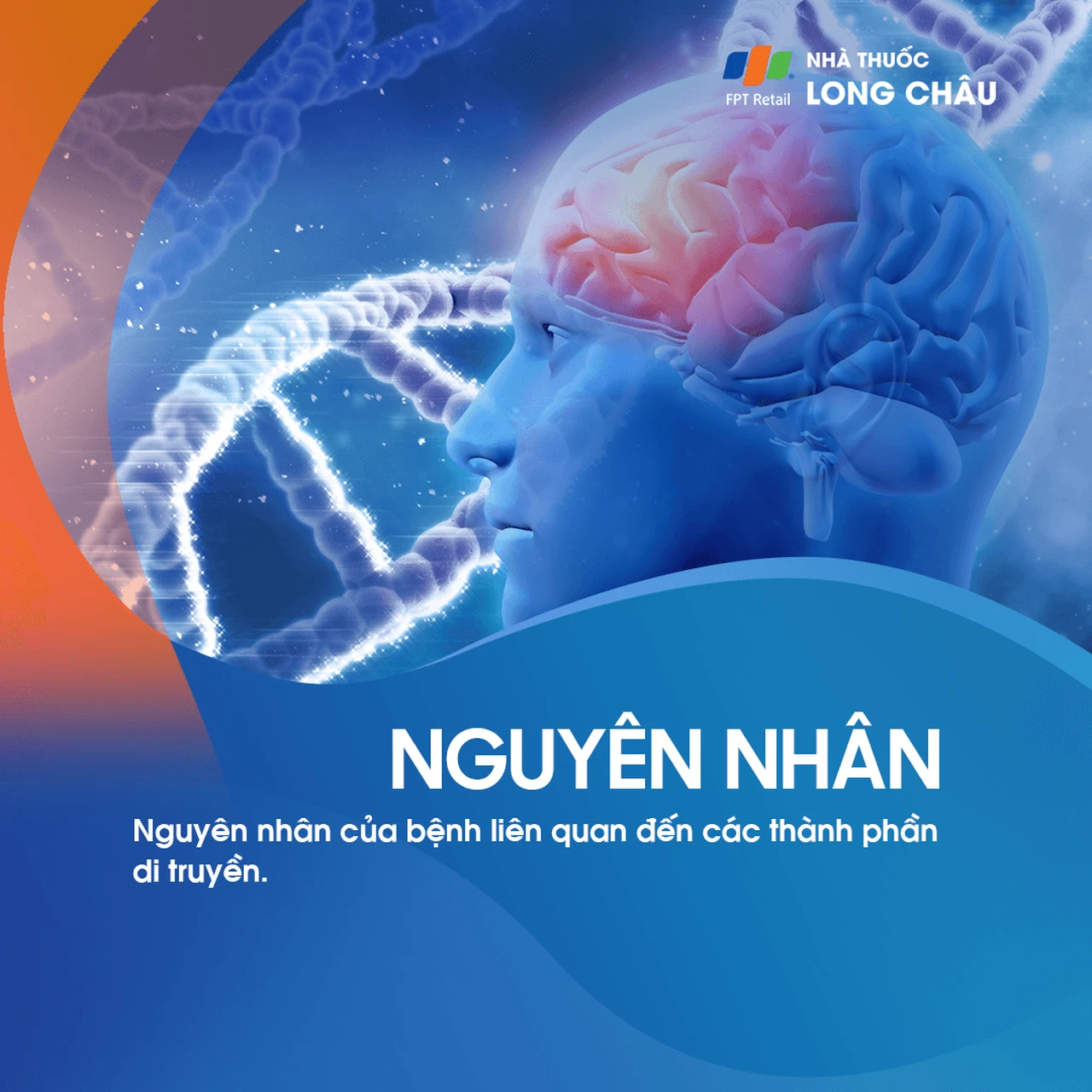 Nguyên nhân của đau đầu vận mạch bao gồm sự thay đổi trong tuần hoàn máu và sự co giãn bất thường của các mạch máu não