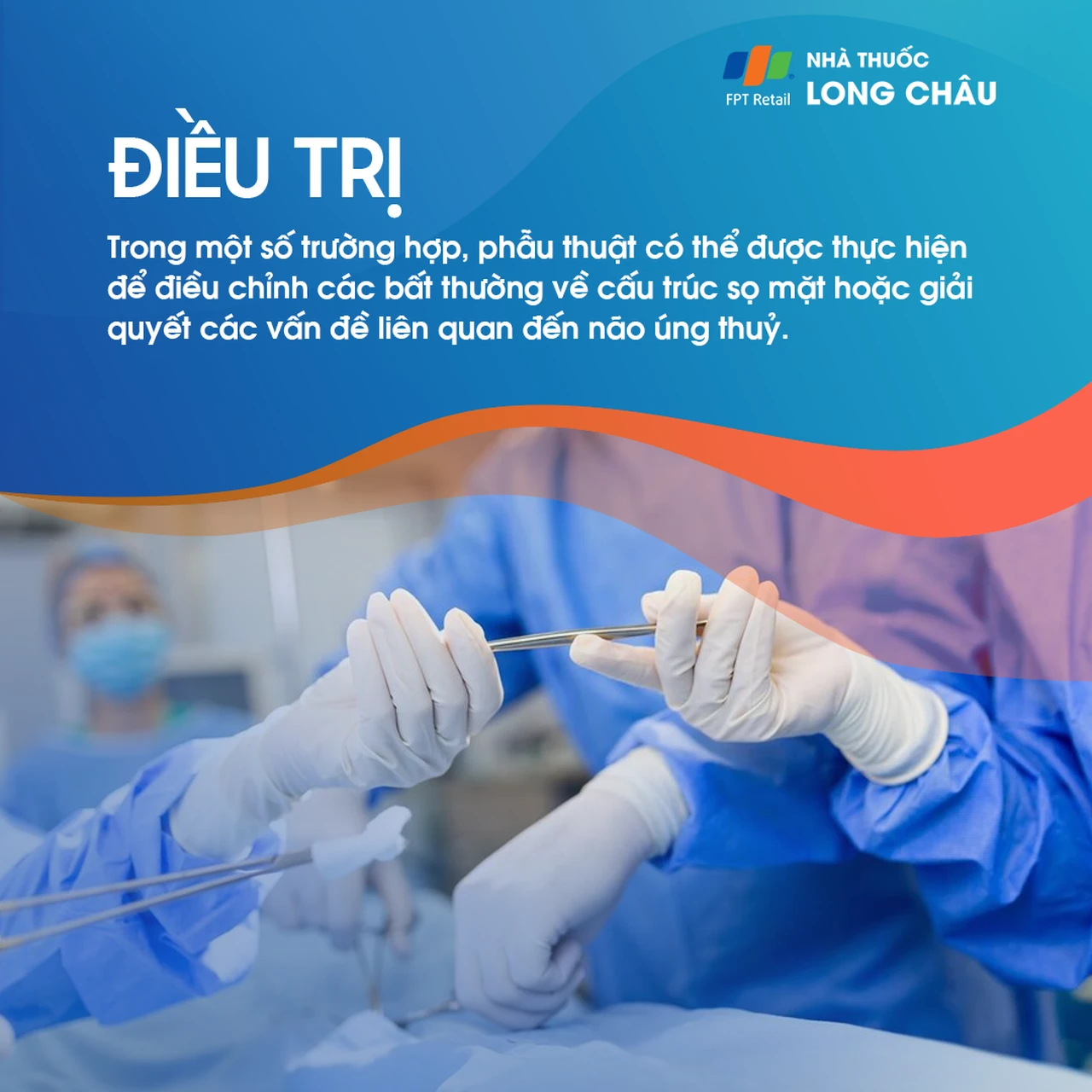 Dị dạng bán cầu não 6