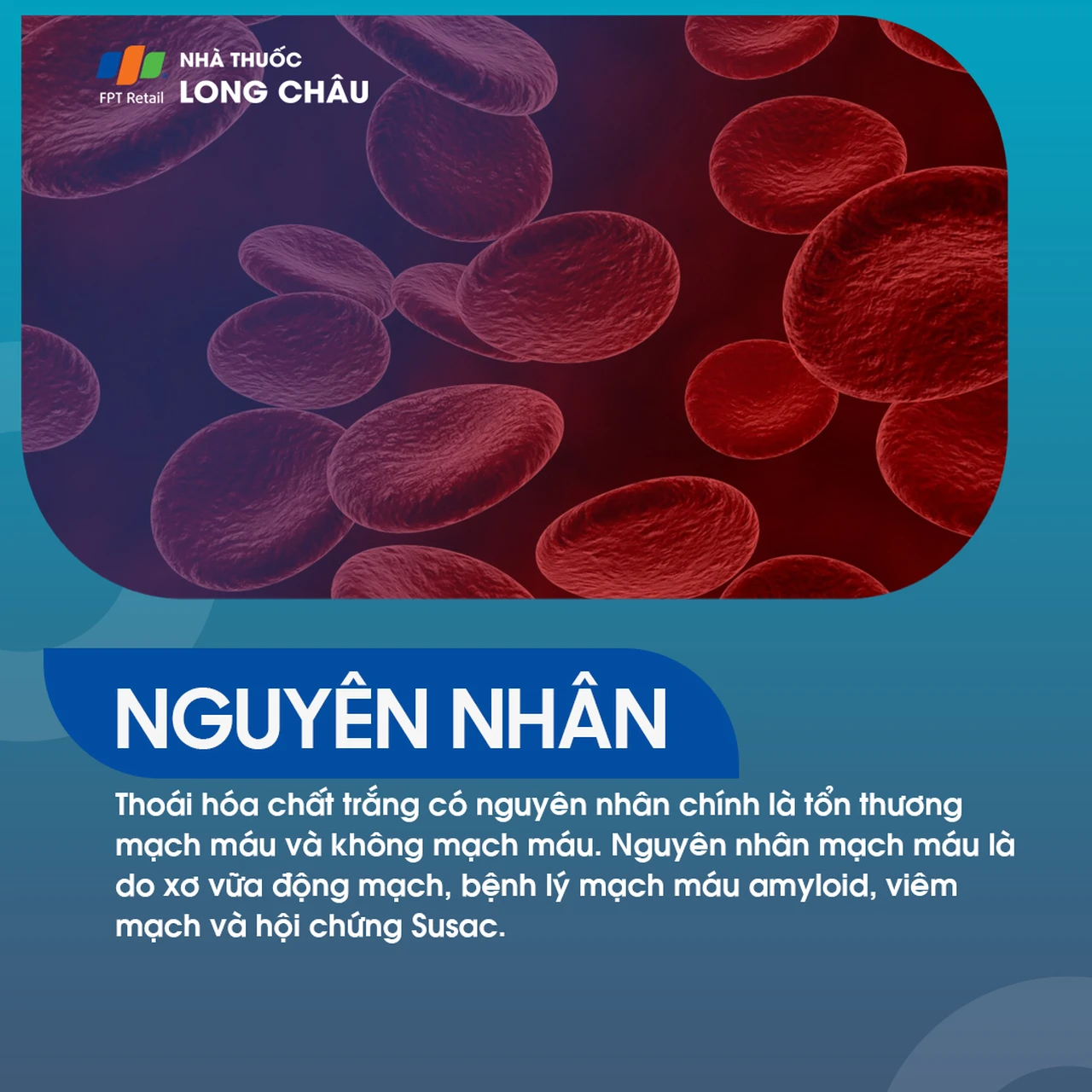 Thoái hóa chất trắng 3