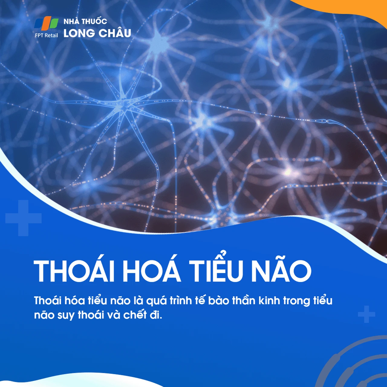 Thoái hóa tiểu não 1