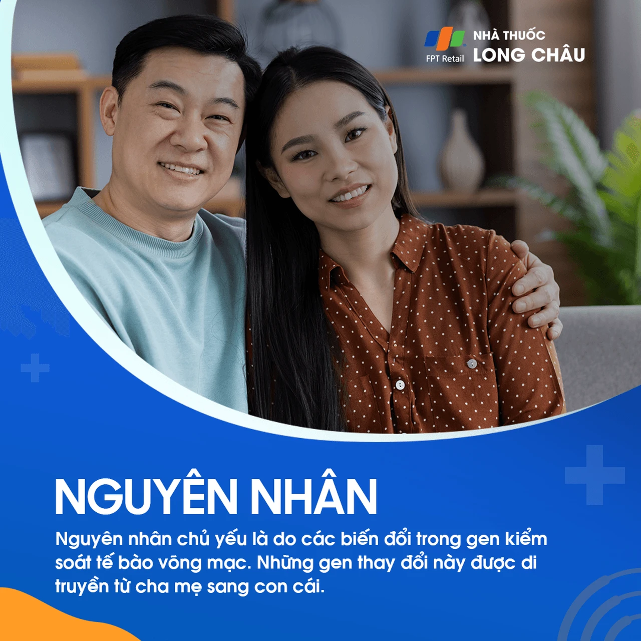 Viêm võng mạc sắc tố 3