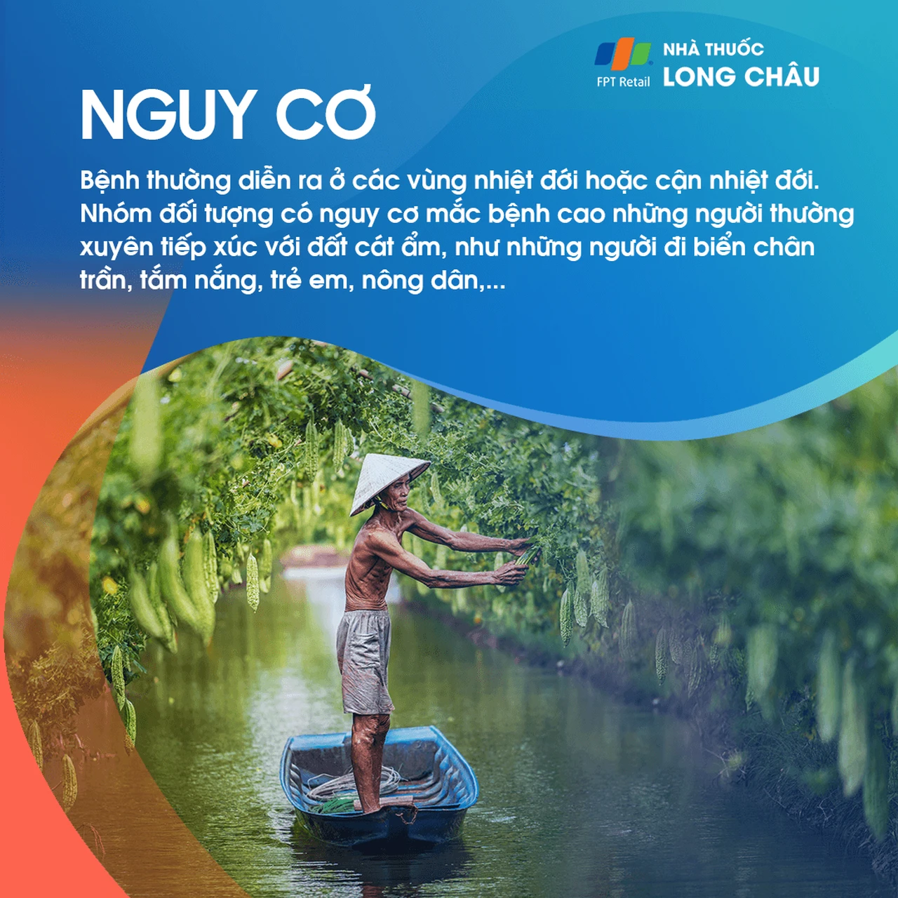 Ấu trùng da di chuyển 4